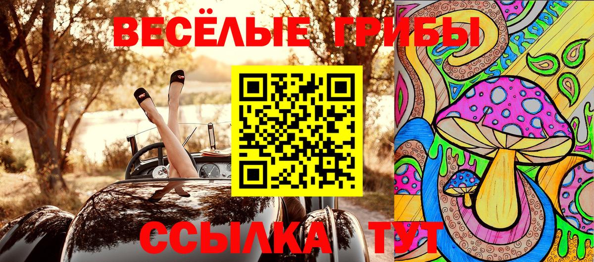 Нарткала  Псилоцибиновые грибы GOLDEN TEACHER  Вход с VPN 